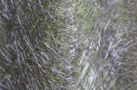 Nether Kidston fibreglass roof work